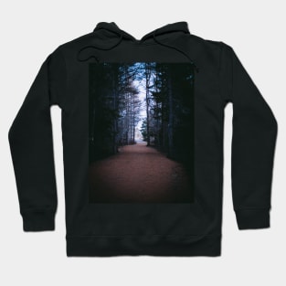 From Darkness to Light, Forest Trail V1 Hoodie